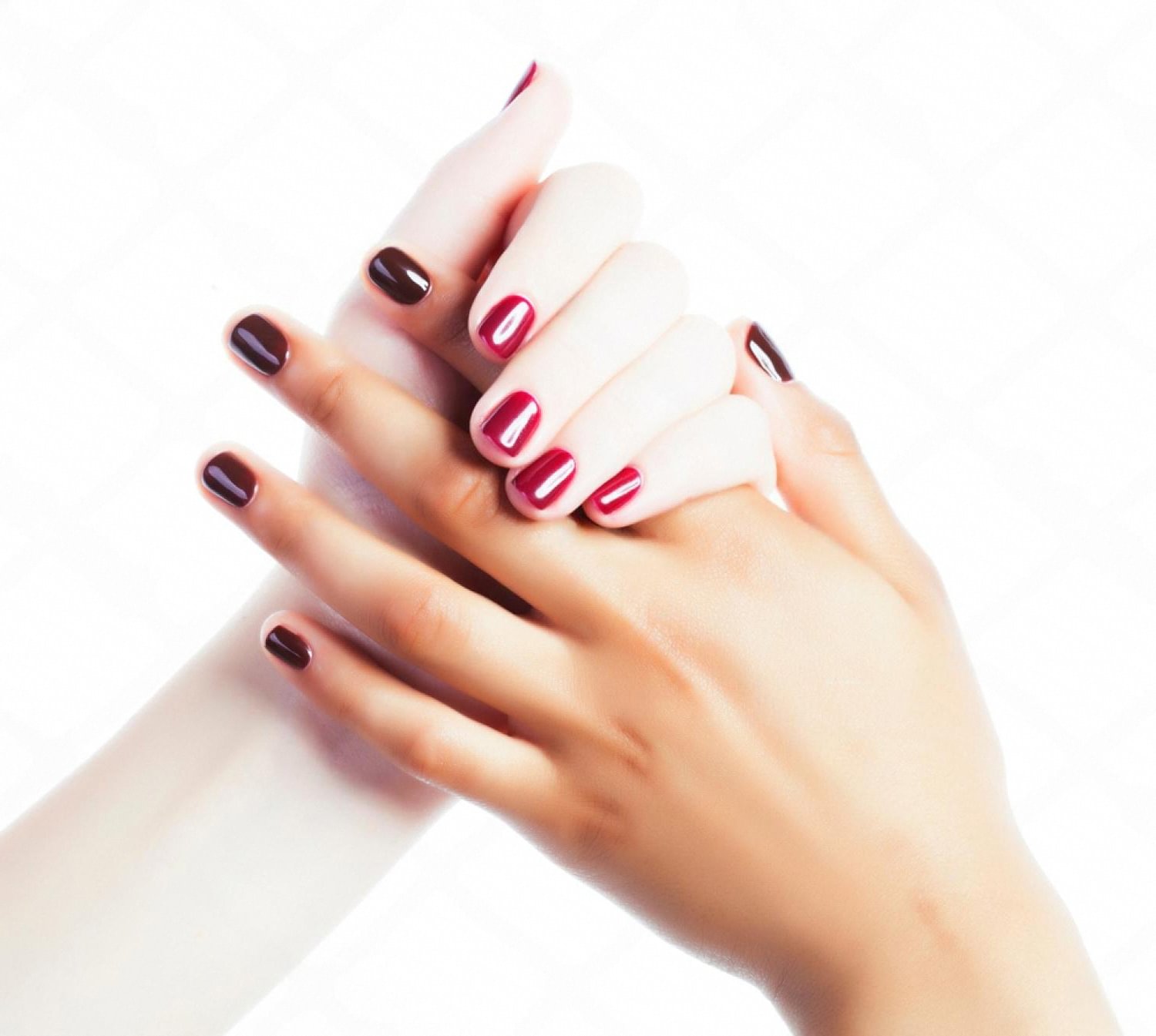 Two hands with glossy professional manicure in deep burgundy and pink shades